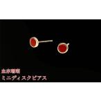 アクセサリー ピアス 珊瑚 血赤珊瑚 ミニディスク