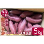 野菜類 サツマイモ 受付中 予定 訳あり 紅はるか 5kg