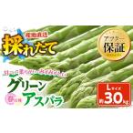 野菜類 アスパラガス 春収穫グリーンアスパラLサイズ 500g×6