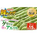 fu.... налог овощи вид спаржа Hokkaido Asahikawa город весна .. зеленый aspalaL размер (500g×3) примерно 1.5kg(2027 год 6 месяц сверху . из отправка начало предположительно )aspalaaspalaga...