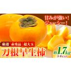 ふるさと納税 ぶどう 和歌山県 日高町 赤秀品 超大玉 刀根早生柿 約 1.7kg 6玉 道の駅 くしがきの里《2026年9月末-10月末頃出荷》 和歌山県 日高町 果物 フル…