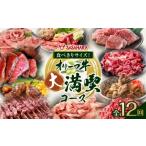 牛肉 セット 全12回 食べきりサイズ オリーブ牛の大満喫コ…