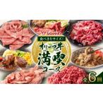 牛肉 セット 全6回 食べきりサイズ オリーブ牛の満喫コース