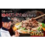 猪肉 遠山 ジビエ ジンギス セット 肉 にく 猪
