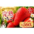 いちご とちあいか サイズおまかせ 大 最旬とちあいか 約25…