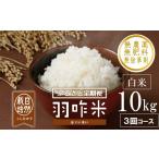 米 コシヒカリ こしひかり 精米 定期便 10kg