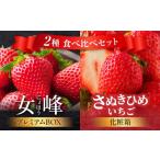 果物の詰合せ 厳選いちご2種 食べ比べセット