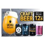 ふるさと納税 ビール 地ビール 山梨県 北杜市 うちゅうブルーイング クラフトビール 12本セット 350ml 宇宙ビール うちゅうビール 飲み比べ 八ヶ岳 せんのや