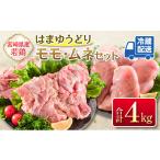 若鳥 モモ ムネ 唐揚げ カット 合計4kg