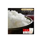米 コシヒカリ 定期便3回 ハナエチゼン 無洗米 1kg
