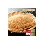 米 コシヒカリ 定期便3回 ハナエチゼン 精米 5kg