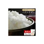 ハナエチゼン 無洗米 1kg