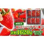 ふるさと納税 いちご 静岡県 掛川市  2026年発送 静岡県産いちご「紅ほっぺ+すずの薫り」6パック 約1.6kg(約270g×6)_いちご イチゴ 苺 箱入り 食べ比べ セッ…