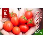 fu.... налог помидор мини помидоры Osaka (столичный округ) Kishiwada город 2025 год 10 месяц ~ последовательный отгрузка мини помидоры 2kgamameido сахар раз 8 раз и больше высота повтор показатель овощи No.5385-1109