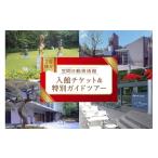 入場券 優待券 美術館入館チケットと特別ガイドツアー