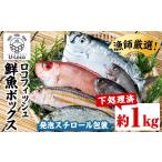 旬の鮮魚等 P78002 漁師厳選 ロコフィッシュ