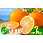 みかん 柑橘類 訳あり 紅甘夏 約 3kg