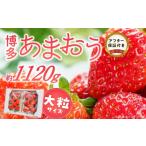 ふるさと納税 いちご 福岡県 久留米市 福岡県産あまおういちご　約280g以上×4パック（大粒） 3月〜4月発送 _ いちご あまおう 大粒 4パック 宇佐川農園 果物 …