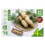 人参 大根 他根菜 ヤマシン蓮根 4kg