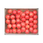 fu.... налог фрукты вид вишня Yamagata префектура сверху гора город теплица вишня ( Sato .)500g. для бытового использования 0112-2605