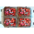 fu.... налог фрукты вид вишня Yamagata префектура сверху гора город вишня ( Sato .)200g×4 упаковка . для бытового использования 0112-2612