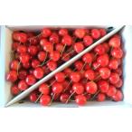 fu.... налог фрукты вид вишня Yamagata префектура сверху гора город вишня ( Sato .)1kg. для бытового использования 0112-2613