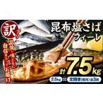 魚貝類 定期便 隔月 全3回 訳あり 昆布塩さばフィーレ 計7.…