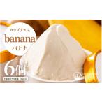 菓子 アイス はんすうカップアイス ミルク 110ml