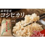 ふるさと納税 玄米 滋賀県 甲賀市  令和7年産 近江米コシヒカリ玄米30kg