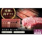 牛肉 ロース ステーキ 旨味成分最大4倍 熟成肉