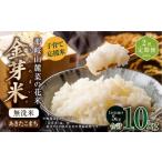 ふるさと納税 無洗米 岡山県 奈義町  2回 定期便 子育て応援米 令和7年産 那岐山麓菜の花米 金芽米 無洗米 あきたこまち 5kg 合計10kg 米 お米 コメ 無洗米 岡…