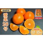 ふるさと納税 果物類 みかん 愛媛県 伊予市 みかん 愛果28号 贈答用 L〜2L 12〜15玉 紅まどんなと同一品種 2025年12月から順次発送 先行予約 数量限定 柑橘 人…