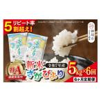 ふるさと納税 米 さがびより 佐賀県 神埼市  定期便6ヶ月 新米 令和7年産 さがびより 精米 5kg×6回 特A受賞米 定期便 佐賀県産 人気 お米 コメ 増田米穀 (H01…