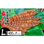 ふるさと納税 エビ 車エビ 沖縄県 名護市 活き〆急速冷凍車えび Lサイズ 　500g×1パック お刺身 塩焼き 天ぷら フライ 急速冷凍 エビ 鮮度 おせち 養殖 瞬間…