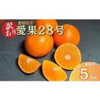 ふるさと納税 果物類 みかん 愛媛県 伊予市 みかん 訳あり 愛果28号 紅まどんなと同一品種 5kg サイズミックス ご家庭用 2025年12月から順次発送予定 愛媛 人…