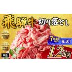 牛肉 チョイス 飛騨牛切り落とし 1.2kg