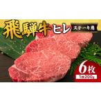 牛肉 ヒレ チョイス 飛騨牛 200g