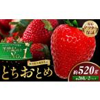 栃木 いちご とちおとめ 2パック