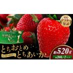 栃木 いちご 食べ比べ とちおとめ とちあいか 2パック