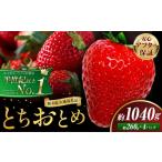 栃木 いちご とちおとめ 4パック