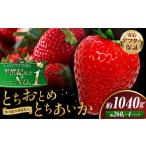 栃木 いちご 食べ比べ とちおとめ とちあいか 4パック