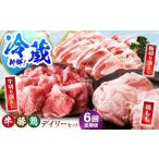 牛肉 冷蔵発送 全6回定期便 三栄のデイリーセット