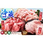 牛肉 冷蔵発送 全12回定期便 三栄のデイリーセット