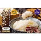 ふるさと納税 無洗米 岡山県 奈義町  7回 定期便 子育て応援米 令和7年産 那岐山麓菜の花米 金芽米 無洗米 きぬむすめ 10kg 合計 70kg 米 お米 コメ 無洗米 岡…
