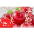 ふるさと納税 果物類 さくらんぼ 山形県 天童市 08-01-193　さくらんぼ(佐藤錦・ご家庭用)500g