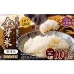 ふるさと納税 無洗米 岡山県 奈義町  10回 定期便 子育て応援米 令和7年産 那岐山麓菜の花米 金芽米 無洗米 きぬむすめ 10kg 合計 100kg 米 お米 コメ 無洗米 …