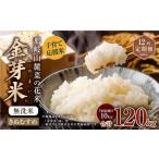 ふるさと納税 無洗米 岡山県 奈義町  12回 定期便 子育て応援米 令和7年産 那岐山麓菜の花米 金芽米 無洗米 きぬむすめ 10kg 合計 120kg 米 お米 コメ 無洗米 …