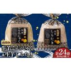 加工品等 頑固物生芋こんにゃく 生芋しらたき 250g×12袋入×2
