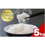 ふるさと納税 米 ひと�