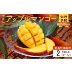 ショッピングふるさと納税 マンゴー ふるさと納税 マンゴー 沖縄県 今帰仁村  訳あり・家庭用 生産者応援 限定500セット　今帰仁アップルマンゴー2kg以上(白箱） 2026年6月中旬〜8月中旬頃発送